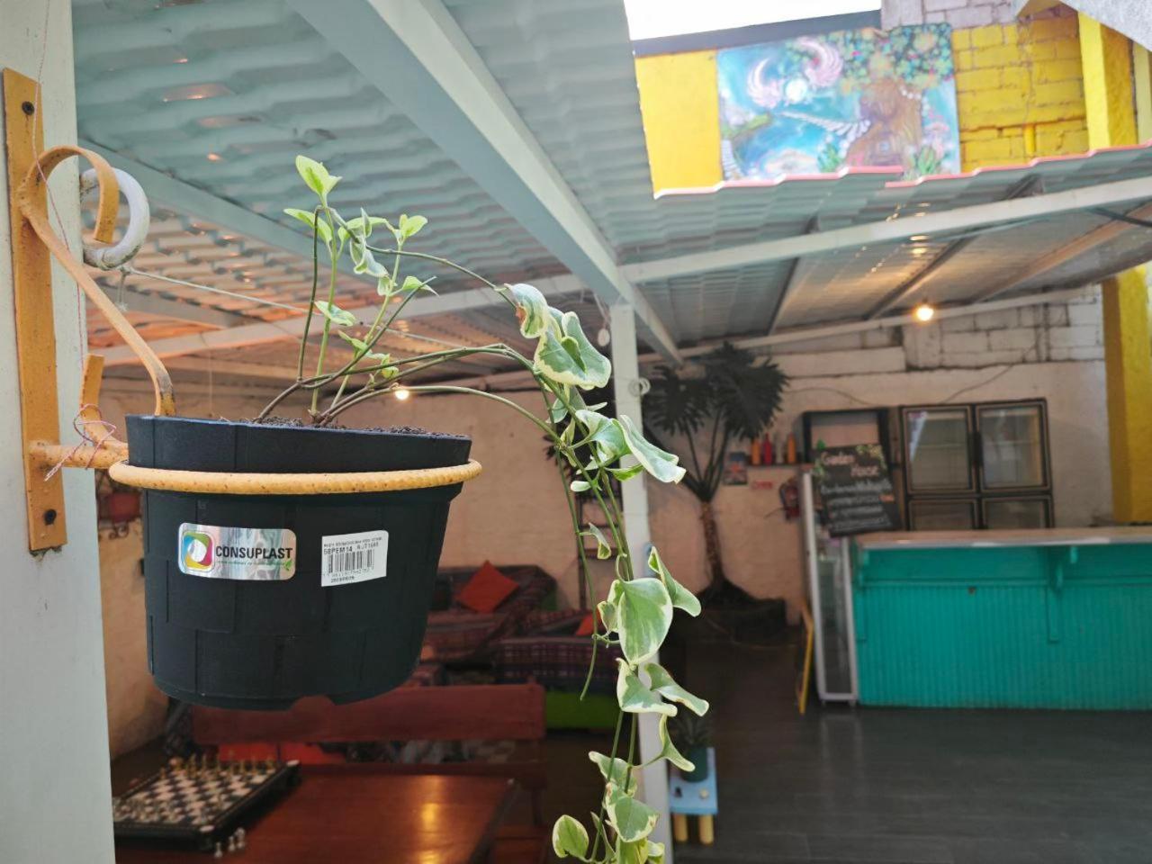 Garden House Hostal Baños Εξωτερικό φωτογραφία